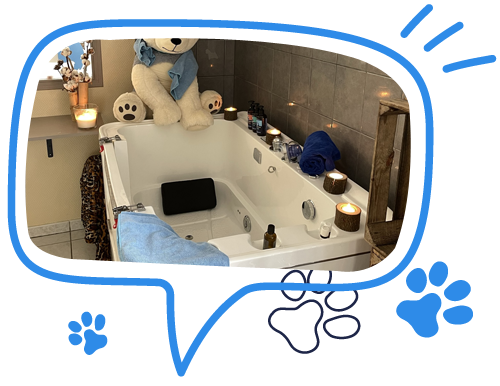 Toilettage pour chien La Ferté-Saint-Aubin, Toilettage pour chien Orléans, Toilettage pour chien Olivet
